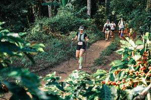 BIB: 
                            <button type="button" onclick="openModal(25841310)" class="btn btn-primary btn-sm float-right btn-popup" data-toggle="modal" data-target=".modal-high-quality">
                        <i class="fas fa-shopping-cart"></i> Add to Cart
                    </button>
                                            <button type="button" onclick="isThisMe(25841310, true)" class="btn btn-success btn-sm float-right btn-popup btn-isme hidden" data-toggle="tooltip" data-placement="bottom" title="นี่คือรูปของคุณใช่ไหม คลิกที่นี่เพื่อเอาเข้าอัลบั้ม">
                        <i class="fas fa-plus"></i> Add to album
                    </button>
                    <button type="button" onclick="isThisMe(25841310, false)" class="btn btn-warning btn-sm float-right btn-popup btn-isnotme hidden">
                        <i class="fas fa-ban"></i> Remove from album
                    </button>